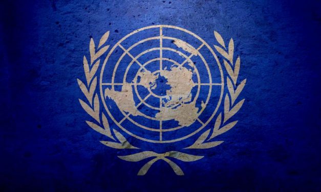 The UN Takeover Is Already Here and It Will Anger You To the Core!! Next Step…