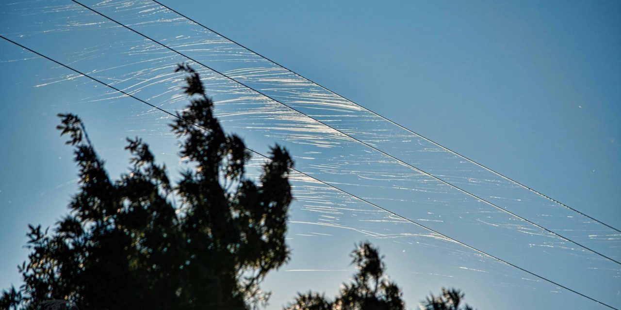 Mysterious White “Fibers” Fall From the Sky In Arizona—Again! You Won’t Believe What They Are! Eye-Opening Interview With Undeniable Documented Proof!