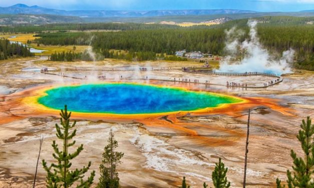 Yellowstone to “Rip The Guts Out Of The USA?” Scientist Warns As Swarms Strike and Rumored Contracts With Countries Rise