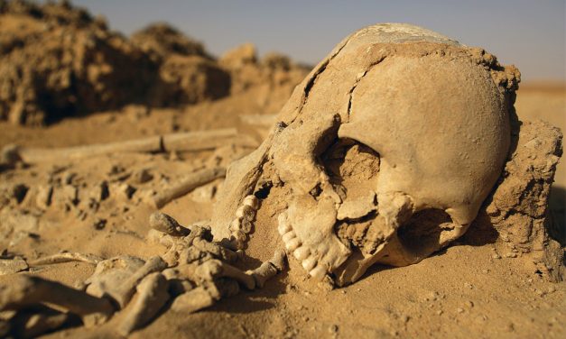 Scientists Issue DEADLY Warning: “The Countdown To Extinction Has BEGUN!” The WHY Is Even More Alarming…