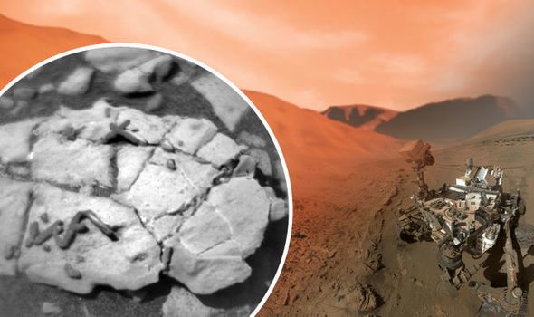 Frenzy Sparked As Scientists Wrestle Over ‘New Freak Discover’ on Red Planet…