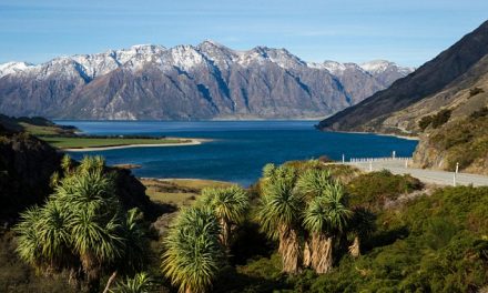 “Powerful People Are Scared?” Billionaires Run To New Zealand In Mass—What Do They Know That We Don’t