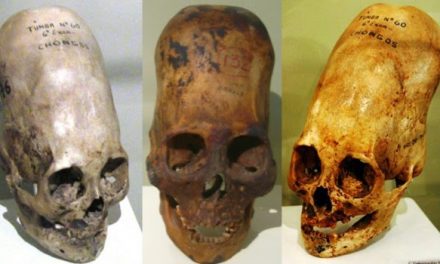 Paracas Elongated Skull’s DNA Results Are In—LA Marzulli Drops a Shocking Report…