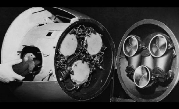 WHAT?! Odd Military Weapons The Government Planned To Use On The Population