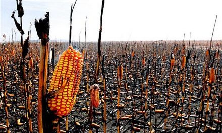 REPORT WARNS: ‘Millions To Be Affected By Food Crisis in 2019’—Will Devastation Strike America?