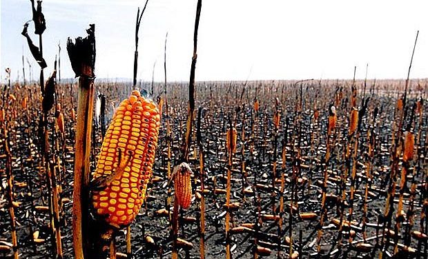 REPORT WARNS: ‘Millions To Be Affected By Food Crisis in 2019’—Will Devastation Strike America?