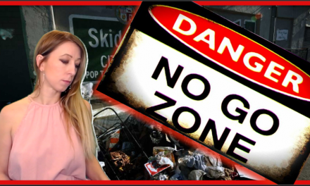 No-Go Zones In The US! Literal Hellholes Coming SOON, If This Continues…