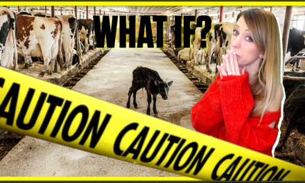 We’re About To Pay a Severe Price: The FULL Collapse Of Dairy and Cattle Industry IS Now Underway!