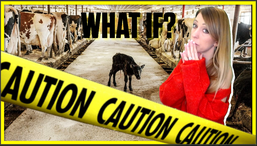 We’re About To Pay a Severe Price: The FULL Collapse Of Dairy and Cattle Industry IS Now Underway!