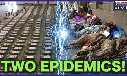 US Facing TWO Epidemics! Covid-19 and…Which May Result In Millions Of Deaths!