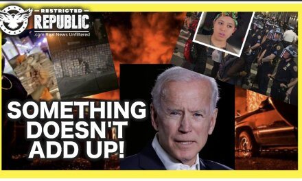 Something Doesn’t Add Up! Organized Riots? Staged Bricks, Bail Out’s & De Blasio’s Daughter Arrested