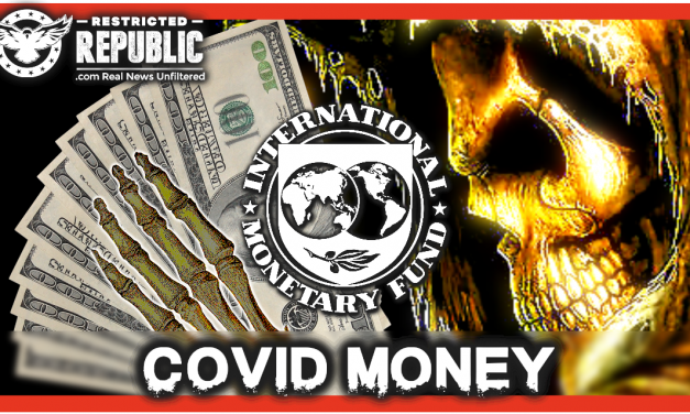 IMF & World Bank’s COVID Aid Came With ‘Death Conditions’ As 147 ‘Super Entities’ Call The Shots