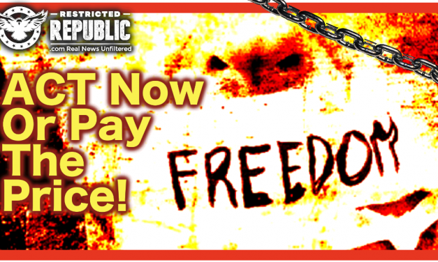 Act NOW Or Pay The Price! Either We Fall Or We Prevail…Here’s What You Can Do To Save America!