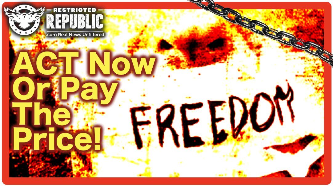 Act NOW Or Pay The Price! Either We Fall Or We Prevail…Here’s What You Can Do To Save America!