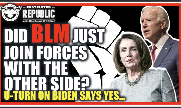 Did BLM Just Join Forces With The Other Side?! U-Tun On Biden & Pelosi Says Yes…