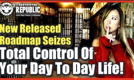 Prepare For Catastrophic Disaster! Newly Released Roadmap Seizes Full Control Of Your Day to Day Life!
