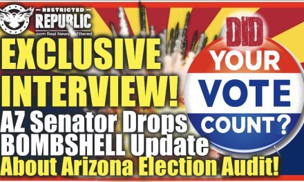 Exclusive Interview! Arizona Senator Drops Bombshells About The Arizona Election Audit…