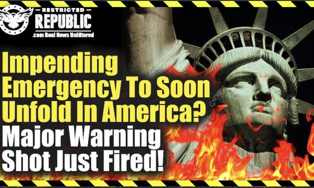 Impending Emergency To Soon Unfold In America? Naomi Wolf Fires Major Warning Shot!!