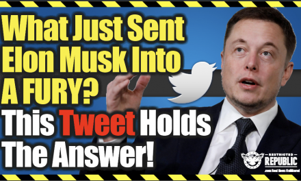 What Just Sent Elon Musk Into a FURY? This Tweet Holds The Answer!
