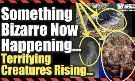 Something Bizarre Now Happening…Terrifying Creatures Rising Up…