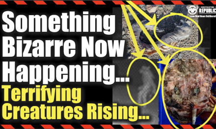 Something Bizarre Now Happening…Terrifying Creatures Rising Up…