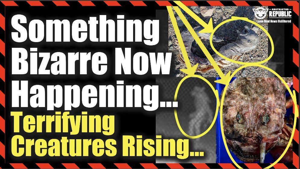 Something Bizarre Now Happening…Terrifying Creatures Rising Up…