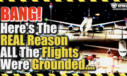 Here’s The Real Reason All The Flights Were Grounded…