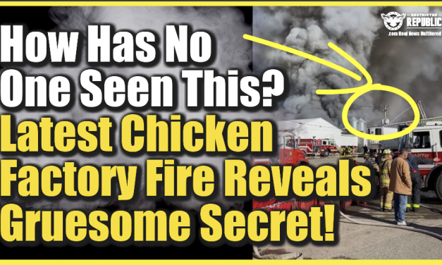 How Has No One See This? Latest Chicken Factory Fire Reveals a Gruesome Secret!