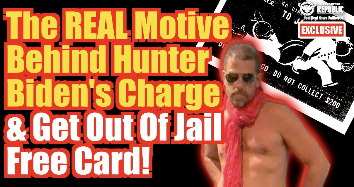 The REAL Motive Behind Hunter Biden’s Charge & Get Out of Jail Free Card!