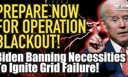 Prepare For Operation Blackout! False Flag Attack Coming Unleashing Mass Grid Failure!