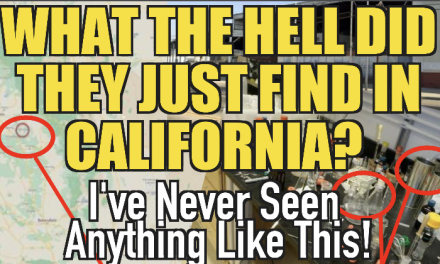 What The Hell Did They Just Find In California? Iv’e Never Seen Anything Like This!