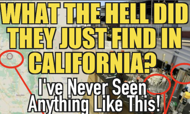 What The Hell Did They Just Find In California? Iv’e Never Seen Anything Like This!