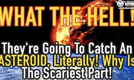 WTH!? They’re Going To Catch an Asteroid, Literally! Why Is The Scariest Part!