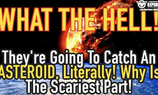 WTH!? They’re Going To Catch an Asteroid, Literally! Why Is The Scariest Part!