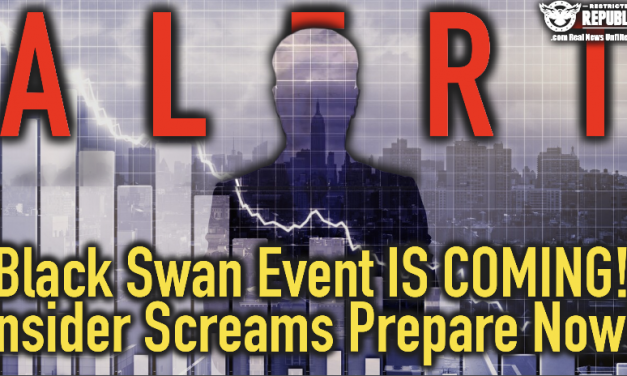 Alert! The Black Swan Event Is Coming! Insider Screams Prepare Now!
