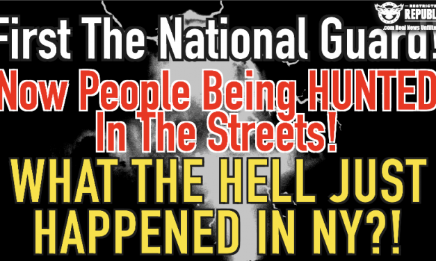 First The National Guard, Now People Being HUNTED In the Streets! What The HELL Just Happened In NY?