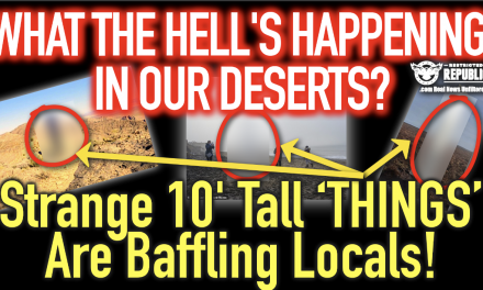 What The Hell’s Happing In Our Deserts?! Strange 10’ Tall ‘THINGS’ Are Baffling Locals! Photo Evidence!