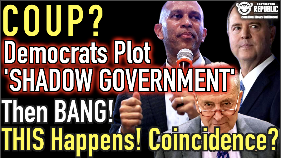 Coup? Democrats Plot to Form ‘Shadow Government’ Then Bang This Happens! Coincidence?