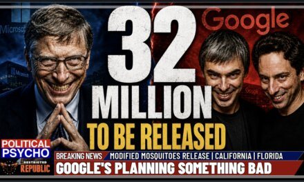 32 Million About to be Released! What Is Google Planning? Should You Be Concerned? 
